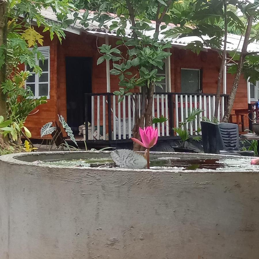 My House Ahangama Ngoại thất bức ảnh