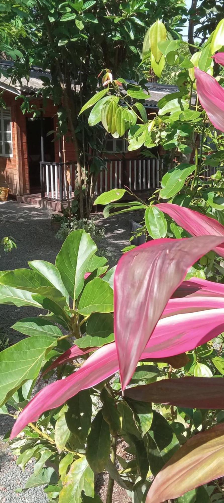 My House Ahangama Ngoại thất bức ảnh