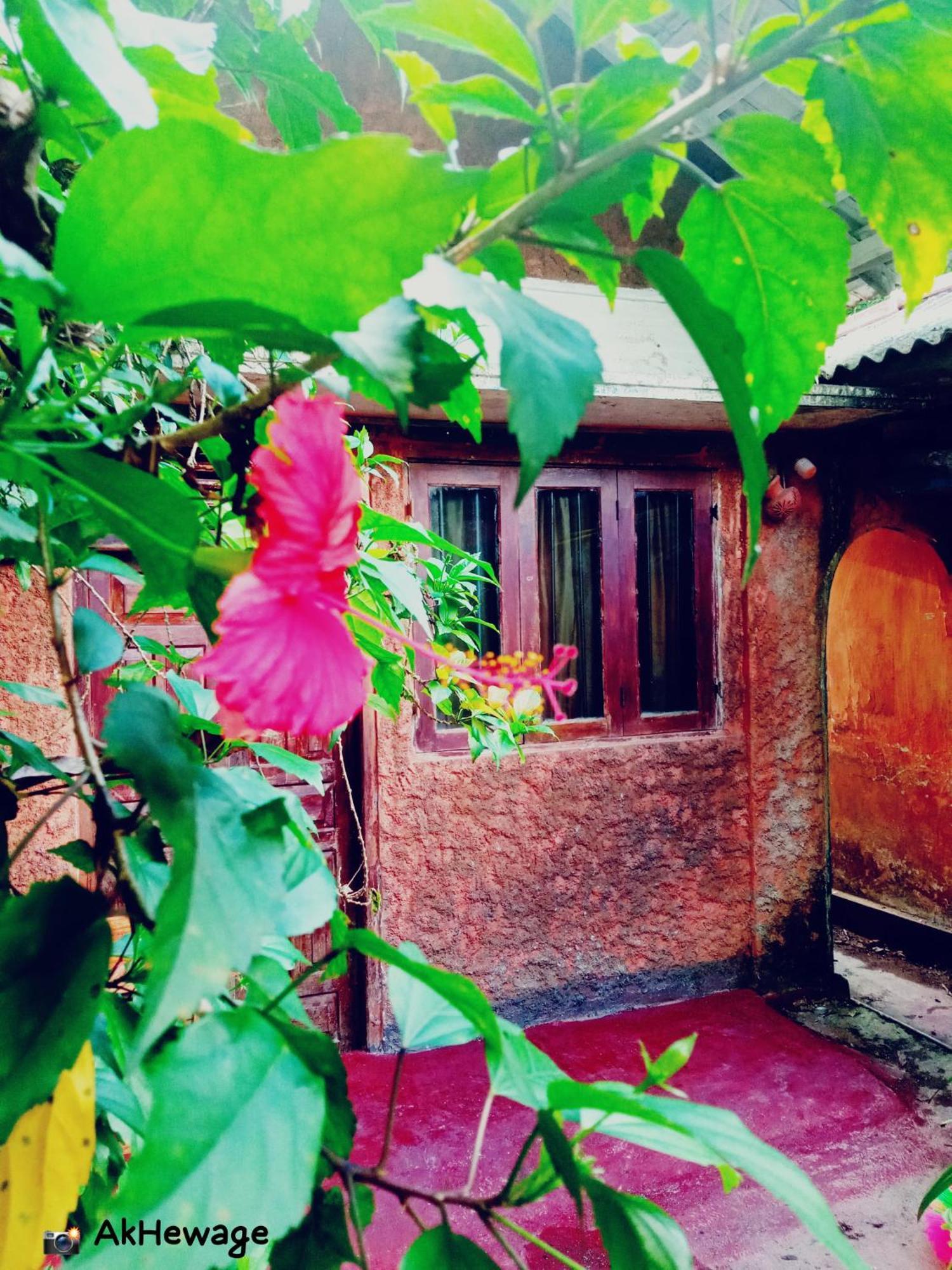 My House Ahangama Phòng bức ảnh